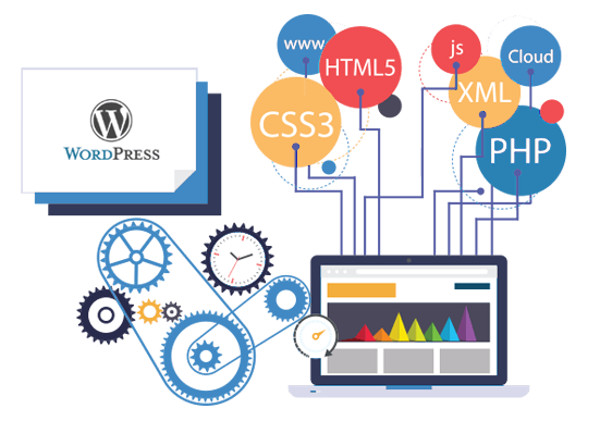 Wordpress Web Development in Delhi